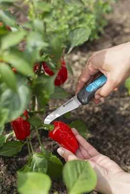 Gardena Cuchillo para cosechar VeggieCut 12211-20 talla 8 cm - 1 unidad – foto 2