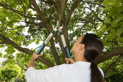 Gardena Cortarramas EasyCut 500 B - 1 unidad – foto 1