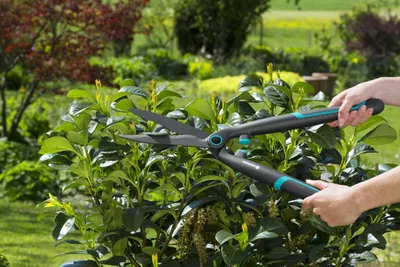 Gardena Cortasetos EasyCut 20 cm 12301-20 - 1 unidad – foto 4