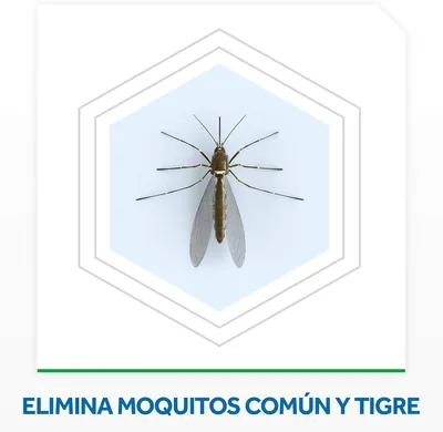 Raid Líquido Eléctrico Antimosquitos con Aparato + 2 Recambios 27 ml - pack de 3 unidades – foto 2