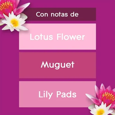 Glade BY brise ambientador un toque relax zen recambio - pack de 2 unidades – foto 3