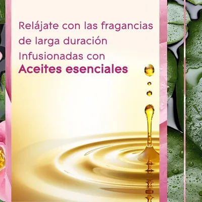 Glade BY brise ambientador un toque relax zen recambio - pack de 2 unidades – foto 4