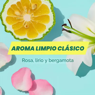 Batiste Original Dry Champú 200ml - pack de 3 unidades – foto 6