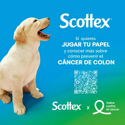 Scottex Original Papel Higiénico Seco, 16 rollos - pack de 6 unidades – foto 7
