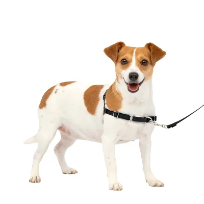 PetSafe Easy Walk Arnés Antitirones para Perros