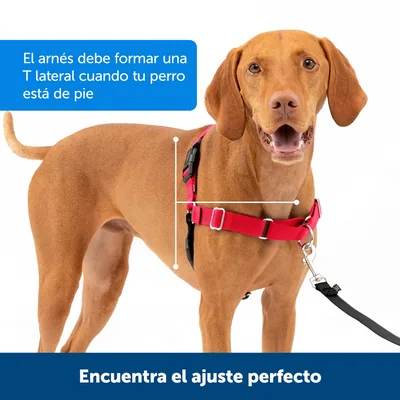 PetSafe Easy Walk Arnés Antitirones para Perros - 1 unidad – foto 6