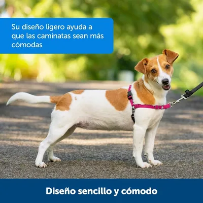PetSafe Arnés para Perros Easy Walk Antitirones Mediano, Negro - 1 unidad – foto 2