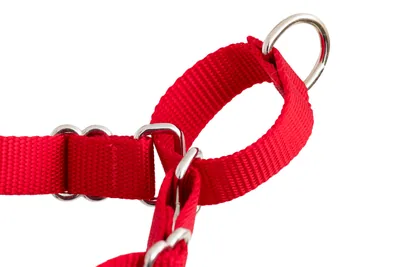 PetSafe Arnés para Perros Easy Walk Antitirones Mediano, Negro - 1 unidad – foto 8