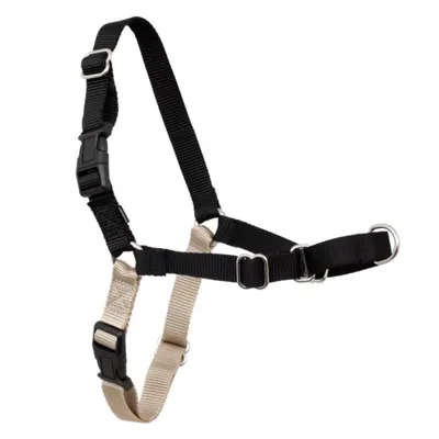PetSafe Arnés para Perros Easy Walk Antitirones Grande, Negro