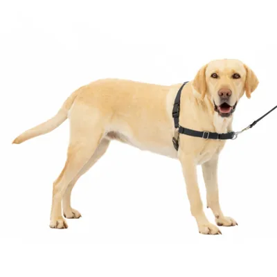 PetSafe Arnés para Perros Easy Walk Antitirones Grande, Negro - 1 unidad – foto 4