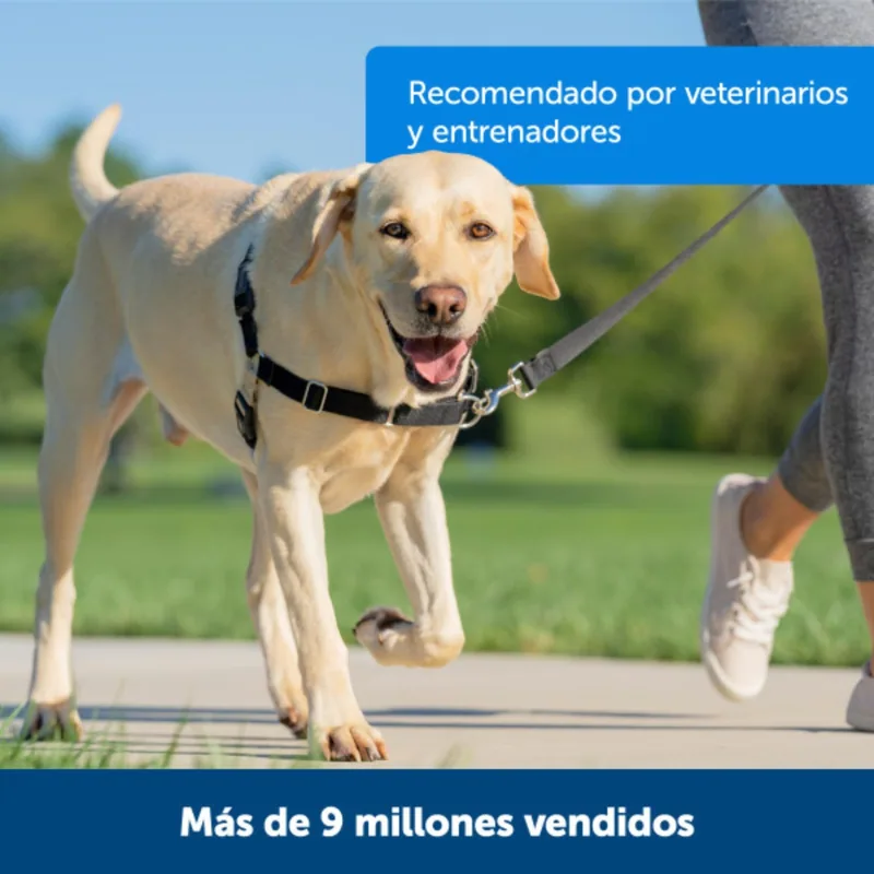 PetSafe Arnés para Perros Easy Walk Antitirones Grande, Negro - 1 unidad