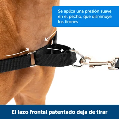 PetSafe Arnés para Perros Easy Walk Antitirones Grande, Negro - 1 unidad – foto 5