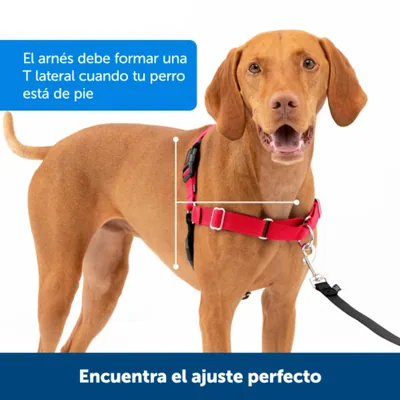 PetSafe Arnés para Perros Easy Walk Antitirones Grande, Negro - 1 unidad – foto 7