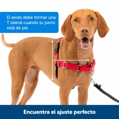 PetSafe Arnés para Perros Easy Walk Antitirones Grande, Negro - 1 unidad – foto 8