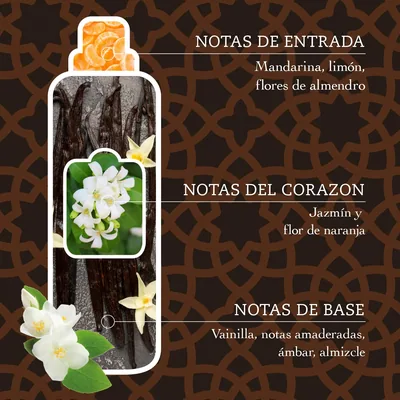 Tesori d'Oriente Suavizante Hammam Argán y Flor de Naranjo 42 lavados 760 ml - pack de 12 unidades – foto 1