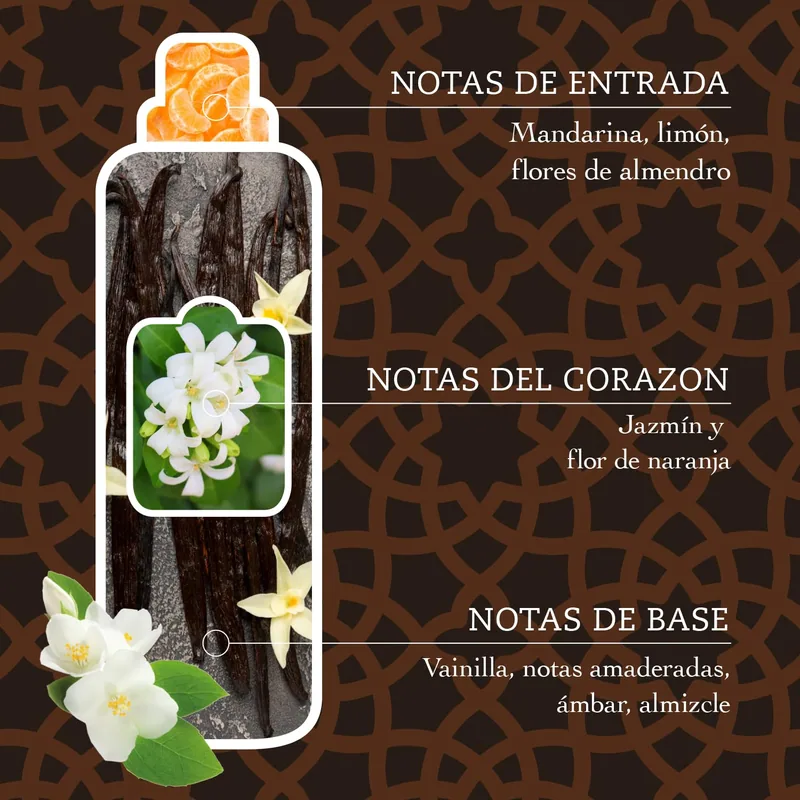 Tesori d'Oriente Suavizante Hammam Argán y Flor de Naranjo 42 lavados 760 ml - pack de 12 unidades
