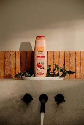 Natural Honey Gel de Ducha de Frutos Rojos Antioxidante y Energizante 650 ml - pack de 12 unidades – foto 3