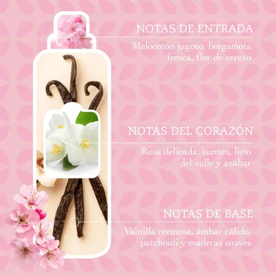 Tesori d'Oriente Suavizante Concentrado Ikigai Flor de Cerezo 42 lavados 760 ml - pack de 12 unidades – foto 3