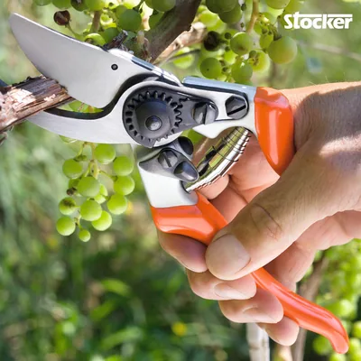 Stocker Tijeras Profi 22 - 1 unidad – foto 2