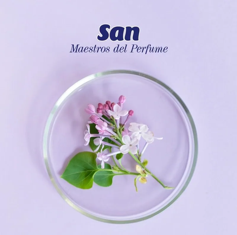 SAN Suavizante Ropa Lavadora Líquido Concentrado 59 Lavados 1298 ml - pack de 8 unidades