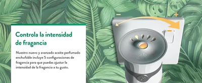 Air Wick Ambientador Eléctrico Fragancia Nenuco 38 ml - pack de 5 unidades – foto 8