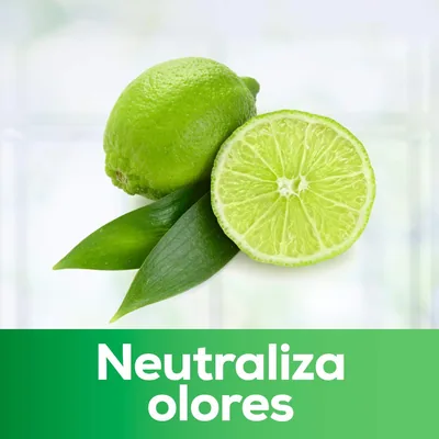 Mistol Lavavajillas Ultra Plus 650 ml - pack de 12 unidades – foto 4