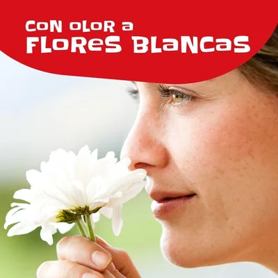 Alcohol de Limpieza 75% Aroma Floral 2 litros - pack de 4 unidades – foto 3