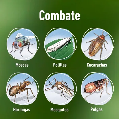 Compo Barrera de insectos para rastreros y voladores 1000 ml - pack de 3 unidades – foto 1