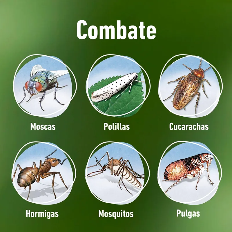 Compo Barrera de insectos para rastreros y voladores 1000 ml - pack de 3 unidades