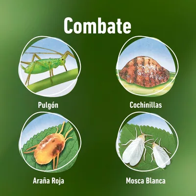 Compo Bio Insecticida Stop 750 ml - pack de 2 unidades – foto 1