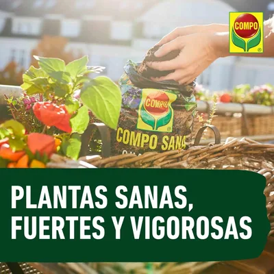 Compo Sana sustrato universal con abono 6-8 semanas 10 L - pack de 9 unidades – foto 2