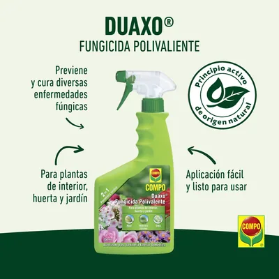 Compo Duaxo fungicida polivalente 750 ml - pack de 2 unidades – foto 3