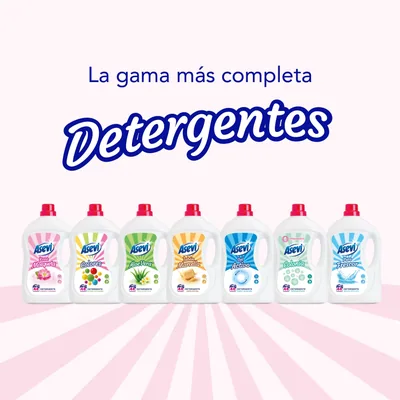 Asevi Detergente líquido para lavadora Rosa Mosqueta 44 lavados 2288 ml - pack de 5 unidades – foto 4