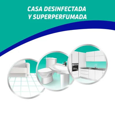 Asevi Desinfectante limpiahogar Gerpostar 1100 ml - pack de 10 unidades – foto 7