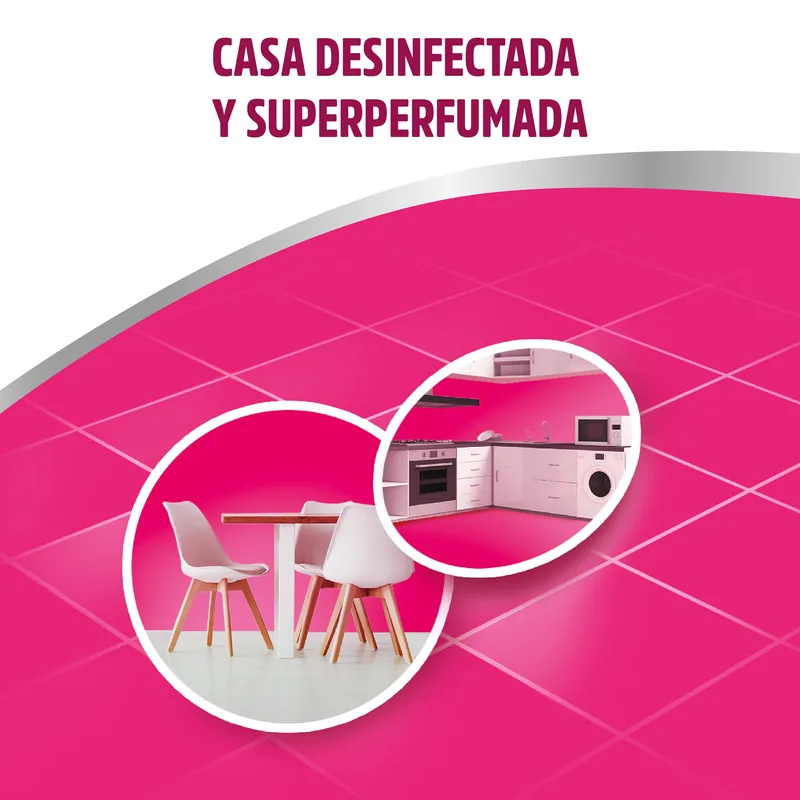 Asevi Desinfectante limpiahogar Mio 1100 ml - pack de 10 unidades