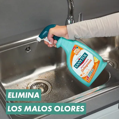 Sanytol Spray Limpiador Desinfectante Quitagrasas 750 ml - pack de 12 unidades – foto 2