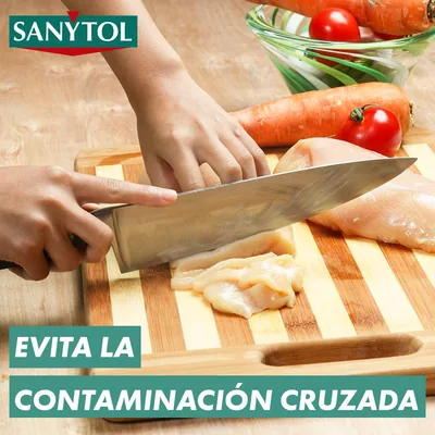 Sanytol Spray Limpiador Desinfectante Quitagrasas 750 ml - pack de 12 unidades – foto 3