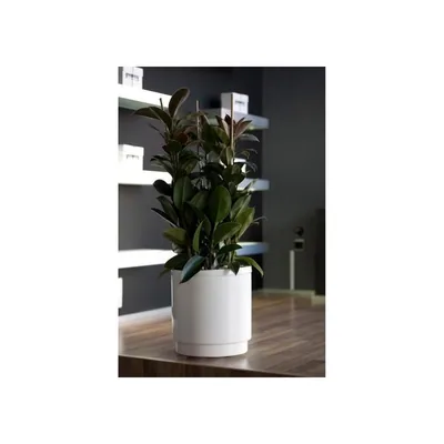 Plastiken 4122 Hidrojardinera 22 cm - 1 unidad – foto 2