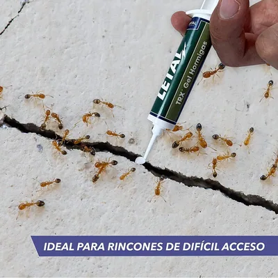 Zotal Gel anti hormigas insecticida en jeringuilla 10g - pack de 6 unidades – foto 1