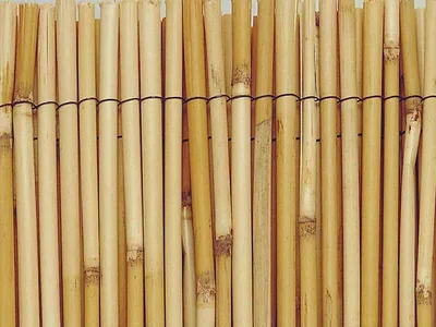 EDM cañizo de bambú natural Ø3-5 mm marrón 1,5x5 m