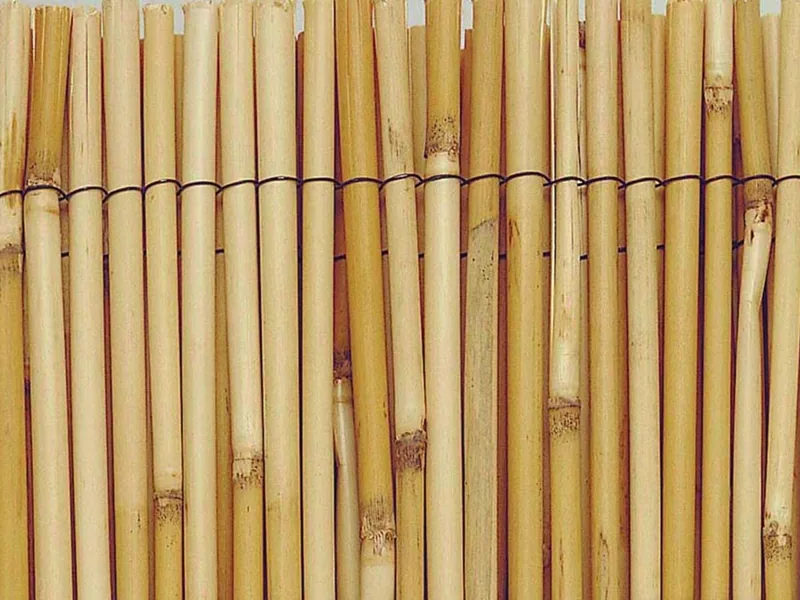EDM Cañizo de bambú natural Ø3-5 mm marrón 1,5x5 m - 1 unidad