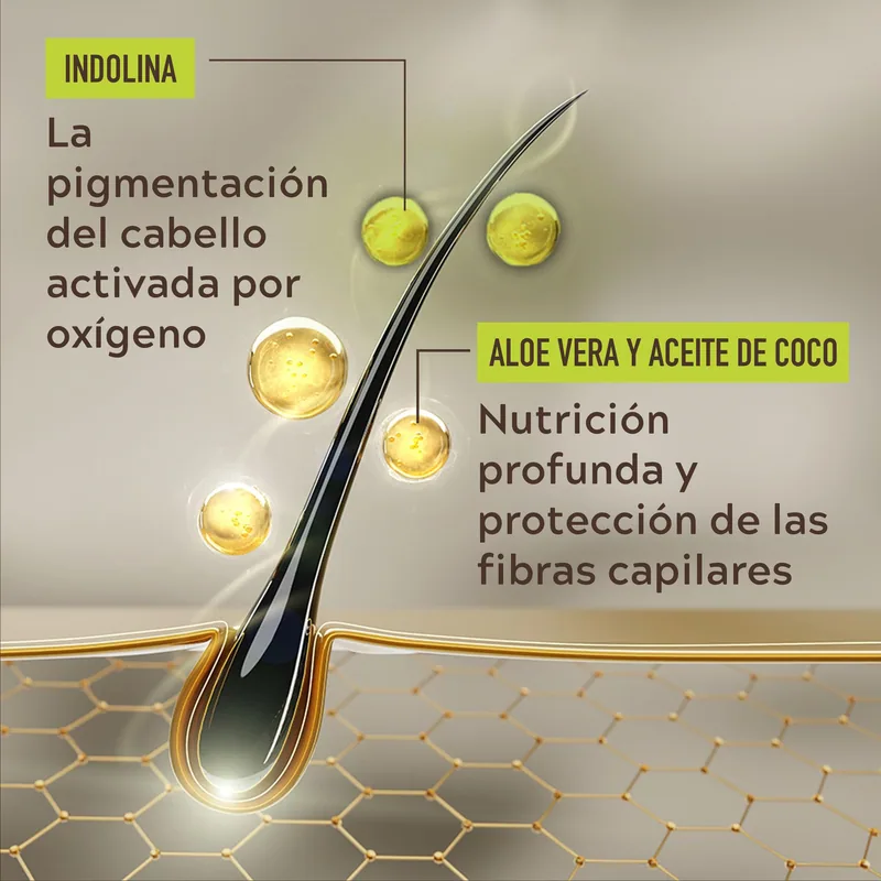 Just for men Control GX Champú Reductor de Canas para Hombre 118 ml - pack de 2 unidades