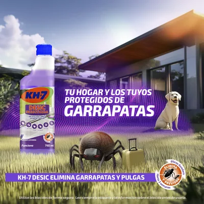 KH-7 Desic Insecticida contra Insectos Rastreros, Aroma Lavanda 750 ml - pack de 12 unidades – foto 2