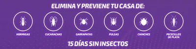 KH-7 Desic Insecticida contra Insectos Rastreros, Aroma Lavanda 750 ml - pack de 12 unidades – foto 8
