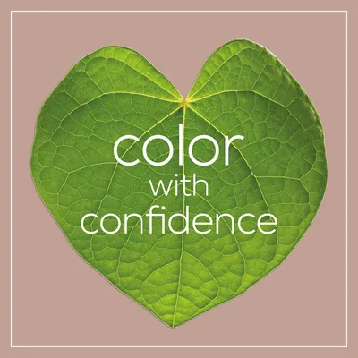 Naturtint Biobased Coloración Tono 4M Castaño Caoba 170 ml - pack de 3 unidades – foto 8