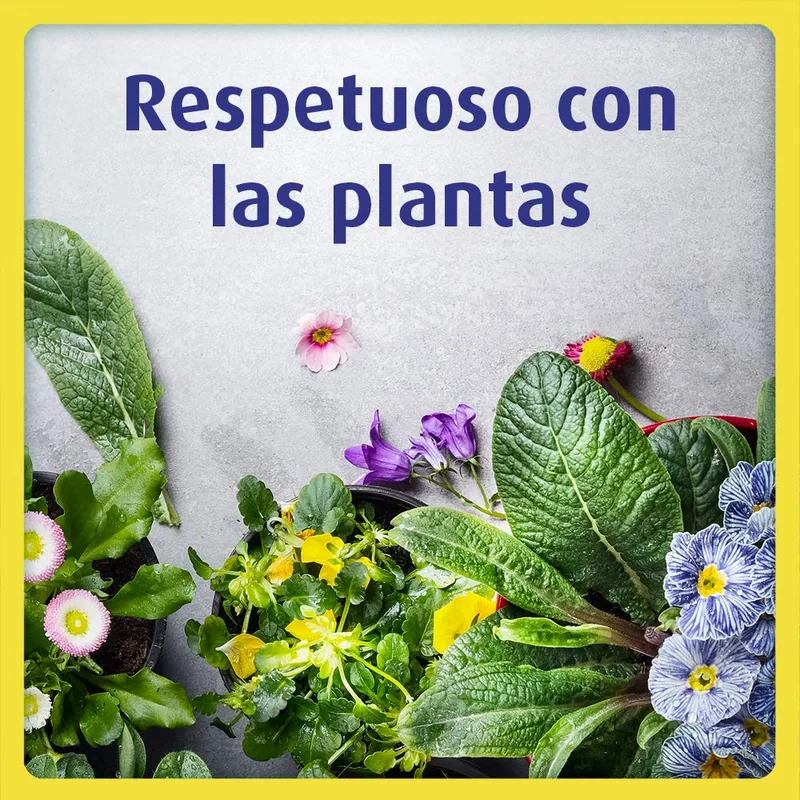Bloom Hogar aerosol contra moscas y mosquitos 600 ml - pack de 4 unidades
