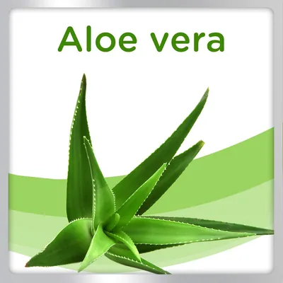 Bloom Derm loción repelente aloe 100 ml - pack de 6 unidades – foto 3