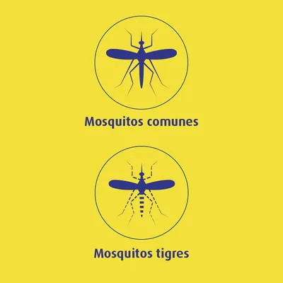 Bloom Recambio Eléctrico Pastillas contra mosquitos común y tigre - pack de 4 unidades – foto 6