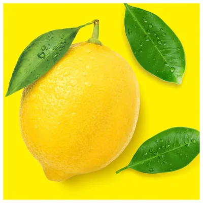 Don Limpio Detergente friegasuelos multiusos limón 1,5 l - pack de 9 unidades – foto 2