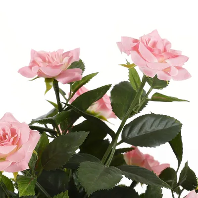 Mica Decorations Decorations Rosal Planta Artificial en Maceta Stan Rosa, Ø25 cm - 1 unidad – foto 5
